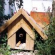 Kutya ház építése – 7 fontos dolog amire figyelnünk kel