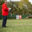 Malinois belga juhászkutya nőstény eladó