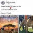 Dél-afrikai masztiff - Boerboel kölykök