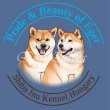 Shiba Inu kölykök felelős gazdijaikat keresik