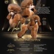 Toy uszkár – kölykök eladók