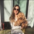 Doodle puppies for sale 