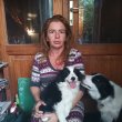 3 border collie kislány keresi szerető családját.