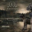 Cane Corso kiskutya